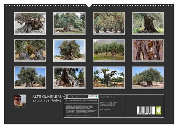 Produktbild: ALTE OLIVENB&Auml;UME Zeugen der Antike (hochwertiger Premium Wandkalender 2027 DIN A2 quer), Kunstdruck in Hochglanz