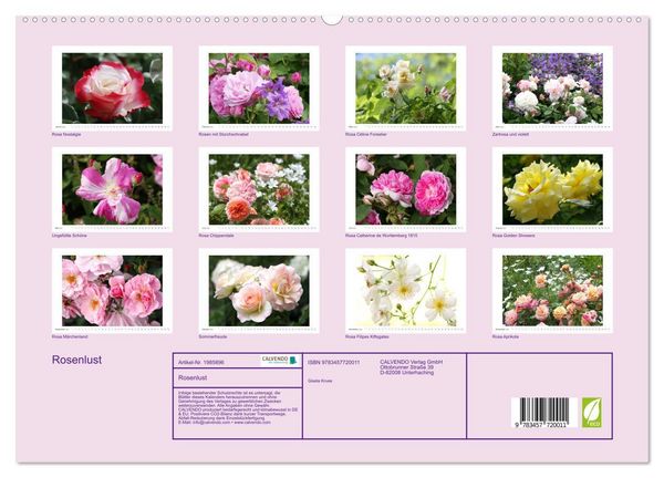 Produktbild: Rosenlust (hochwertiger Premium Wandkalender 2026 DIN A2 quer), Kunstdruck in Hochglanz