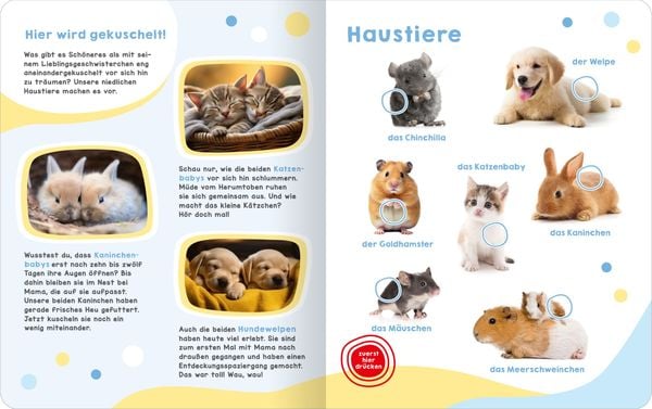 Produktbild: Mein gro&szlig;es Ger&auml;uschebuch &ndash; Tierbabys