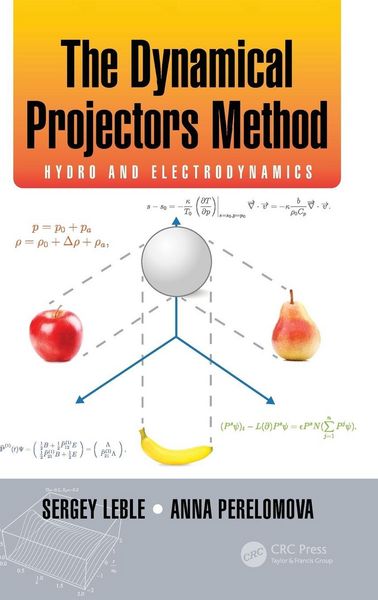Produktbild: The Dynamical Projectors Method