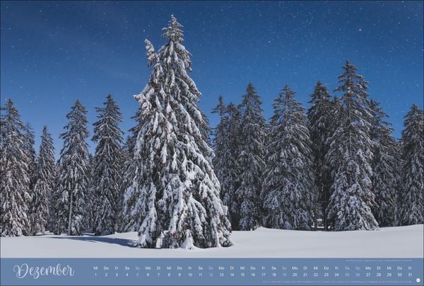 Produktbild: Zauberw&auml;lder Edition Kalender 2027