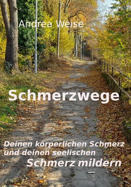 Produktbild: Schmerzwege