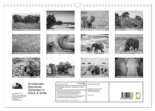 Produktbild: Emotionale Momente: Elefanten in black & white (Wandkalender 2026 DIN A3 quer), CALVENDO Monatskalender
