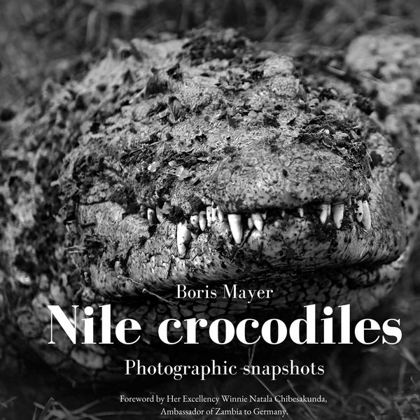 Produktbild: Nile crocodiles