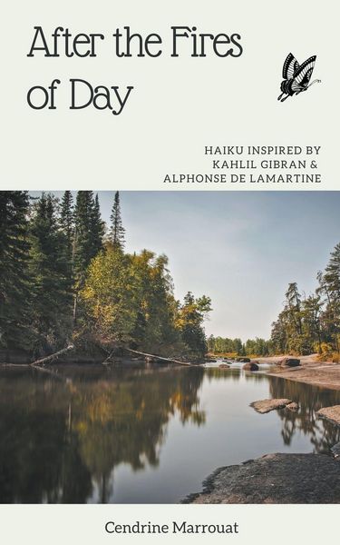 Produktbild: After the Fires of Day