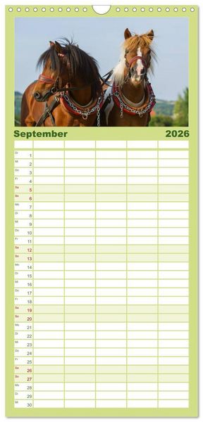 Produktbild: Familienplaner 2026 - Welt der Pferde mit 5 Spalten (Wandkalender, 21 x 45 cm) CALVENDO