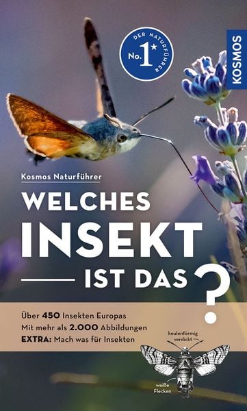 Welches Insekt ist das?, Taschenbuch von Heiko Bellmann, Kosmos, 978-3-440-18000-6