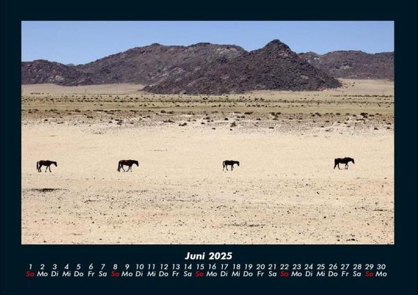 Produktbild: Pferde Kalender 2025 Fotokalender DIN A4