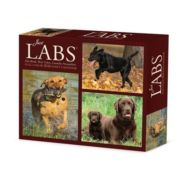 Produktbild: Just Labs 2026 Box Calendar