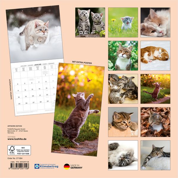 Produktbild: Katzen / Cats 2027