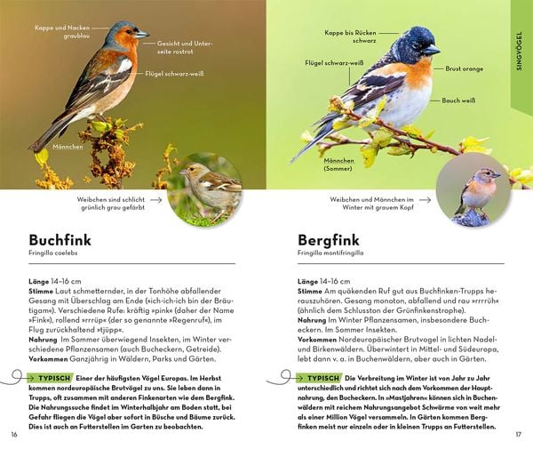 Produktbild: BASIC Gartenv&ouml;gel