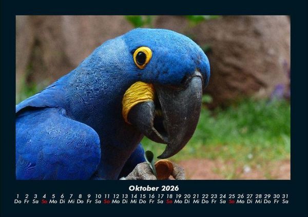 Produktbild: Vogelparadies 2026 Fotokalender DIN A4