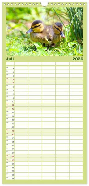 Produktbild: Familienplaner 2026 - Die lieben Kleinen ... Tierkinder einfach zum Knuddeln mit 5 Spalten (Wandkalender, 21 x 45 cm) CALVENDO