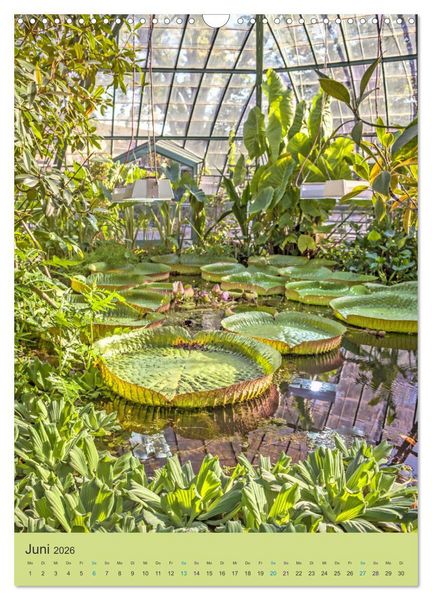Produktbild: Botanischer Garten Basel - Eine Oase zum Entdecken (Wandkalender 2026 DIN A3 hoch), CALVENDO Monatskalender