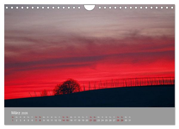 Produktbild: Hallertau (Wandkalender 2026 DIN A4 quer), CALVENDO Monatskalender