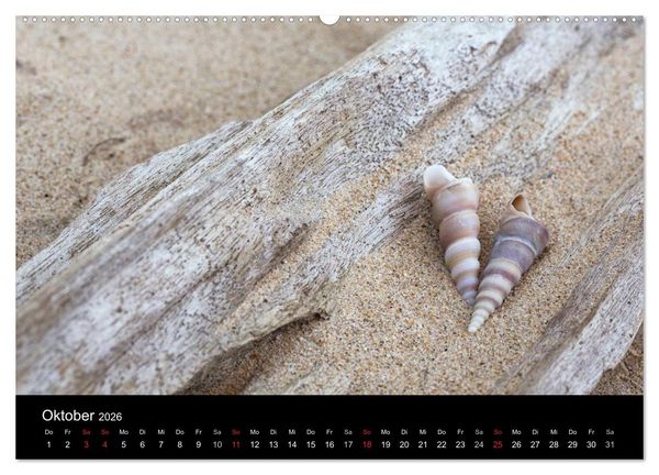 Produktbild: Strandgut und Meer 2026 (hochwertiger Premium Wandkalender 2026 DIN A2 quer), Kunstdruck in Hochglanz
