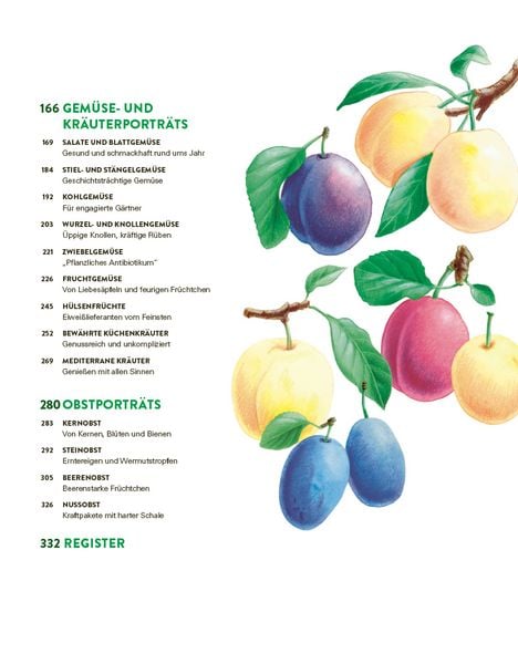 Produktbild: Das gro&szlig;e Gem&uuml;se- und Obstgartenbuch