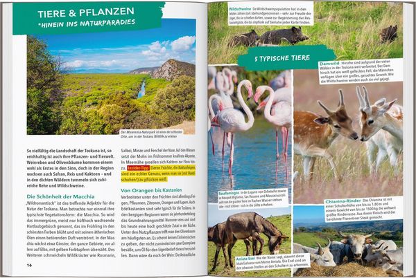 Produktbild: MARCO POLO OUTDOOR GUIDE Reisef&uuml;hrer Toskana