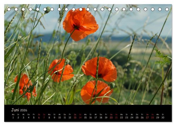 Produktbild: Just Mohn (Tischkalender 2026 DIN A5 quer), CALVENDO Monatskalender