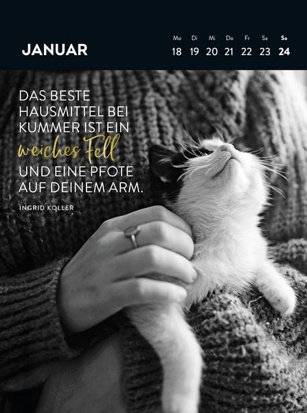Produktbild: Wochenkalender 2027: Goldene Katzenweisheiten f&uuml;r jeden Tag