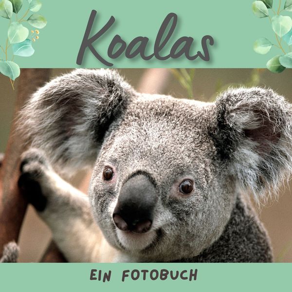 Produktbild: Der Koala