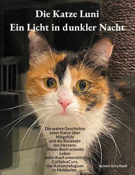 Produktbild: Die Katze Luni - Ein Licht in dunkler Nacht