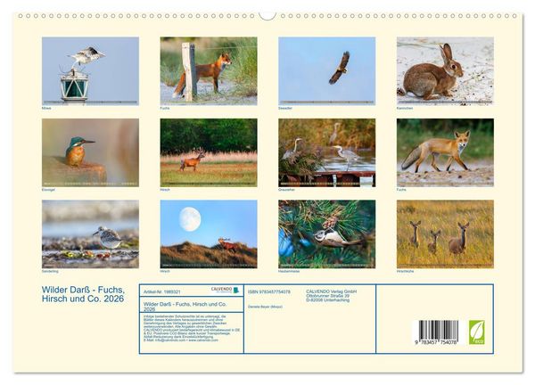 Produktbild: Wilder Dar&szlig; - Fuchs, Hirsch und Co. 2026 (hochwertiger Premium Wandkalender 2026 DIN A2 quer), Kunstdruck in Hochglanz