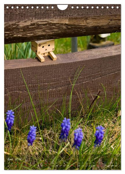 Produktbild: Ein Jahr voller Danbo (Wandkalender 2026 DIN A4 hoch), CALVENDO Monatskalender