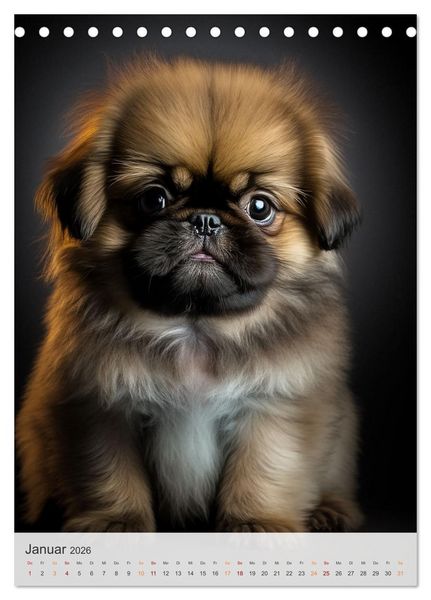 Produktbild: Zauberhafte Hundebabys (Tischkalender 2026 DIN A5 hoch), CALVENDO Monatskalender