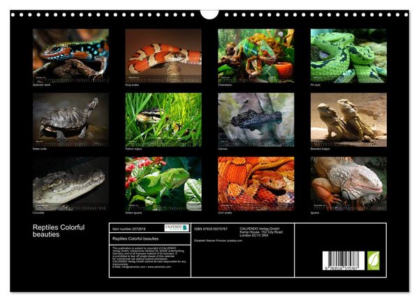 Produktbild: Reptiles Colorful beauties (Wall Calendar 2026 DIN A3 landscape), CALVENDO 12 Month Wall Calendar