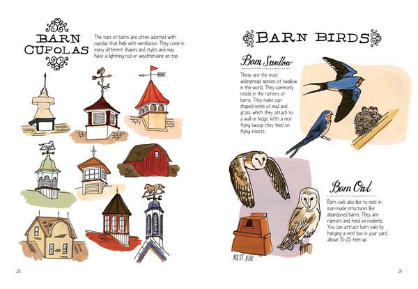 Produktbild: Farm Anatomy