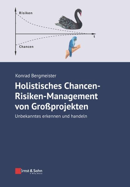 Produktbild: Holistisches Chancen-Risiken-Management von Gro&szlig;projekten