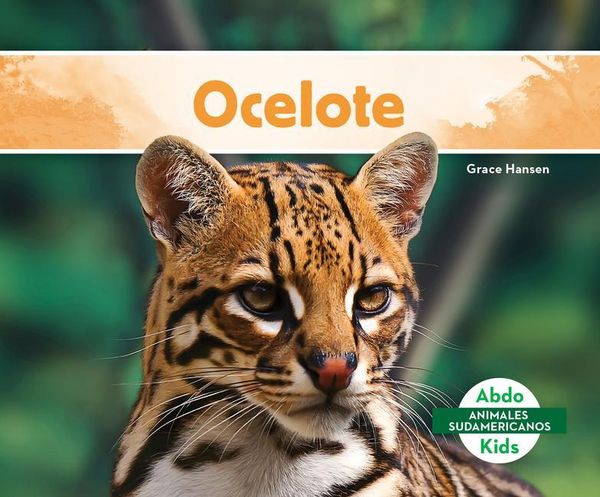 Produktbild: Ocelote (Ocelot)