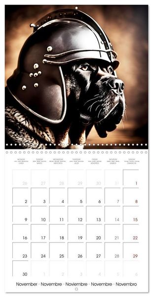 Produktbild: Kleemann, C: Dogs with matching hats (Wall Calendar 2026 12