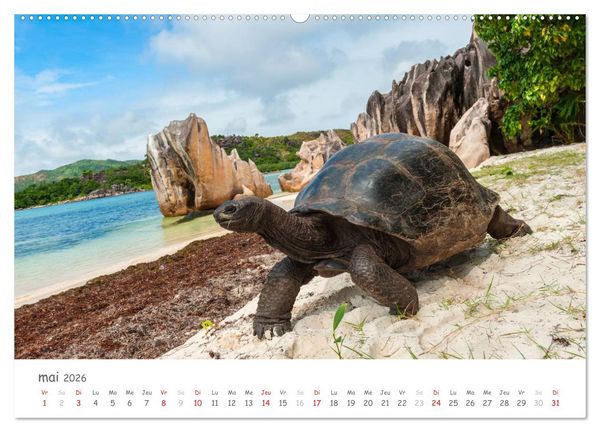 Produktbild: Paysages des Seychelles (Calendrier mural 2026 DIN A2 vertical) calendrier de bureau