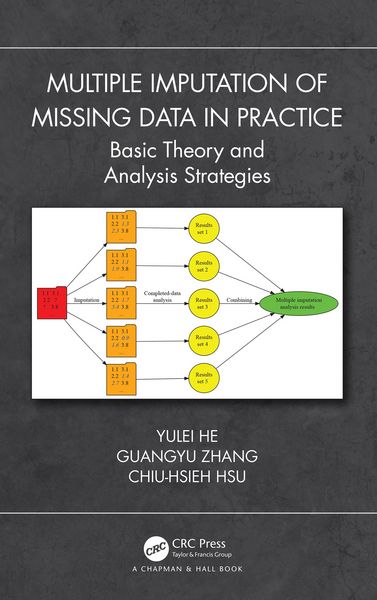 Produktbild: Multiple Imputation of Missing Data in Practice