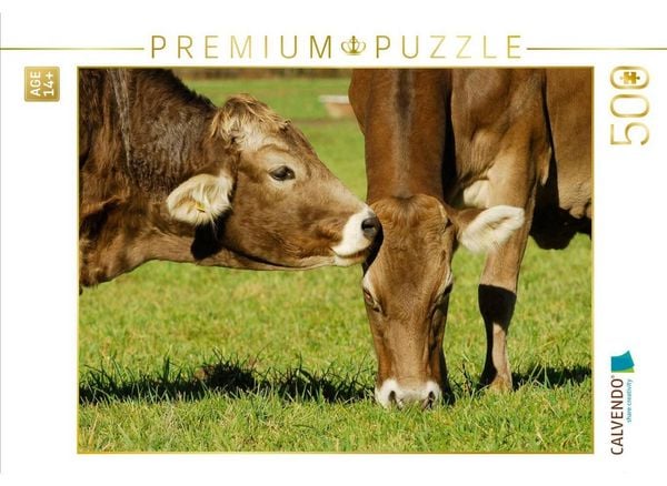 CALVENDO Puzzle Ein Motiv aus dem Kalender Ein Herz für Rinder | 500 Teile Lege-Größe 48 × 36 cm Foto-Puzzle für Erwachsene