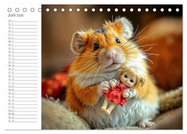 Produktbild: Spielzeit mit Schnuffel - Ein Hamster im Spielzeugparadies (Tischkalender 2026 DIN A5 quer), CALVENDO Monatskalender