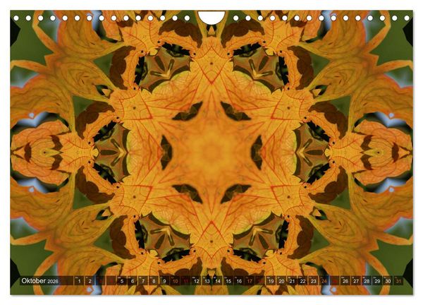 Produktbild: Natur im Kaleidoskop (Wandkalender 2026 DIN A4 quer), CALVENDO Monatskalender