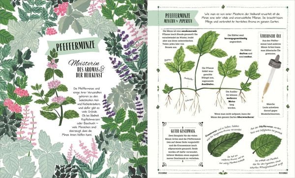 Produktbild: Im Garten