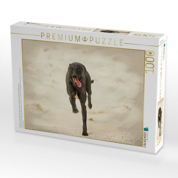 Produktbild: CALVENDO Puzzle Ein Motiv aus dem Kalender Galgo espa&ntilde;ol - Spanische Windhunde in Bewegung | 1000 Teile Lege-Gr&ouml;&szlig;e 64x48cm Foto-Puzzle f&uuml;r gl&uuml;ckliche Stunden