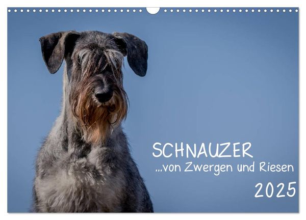 Schnauzer... von Zwergen und Riesen 2025 (Wandkalender 2025 DIN A3 quer), CALVENDO Monatskalender