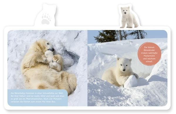 Produktbild: Der Eisbär