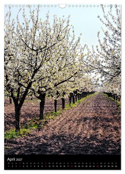 Produktbild: Land Brandenburg im Wechsel der Jahreszeiten (Wandkalender 2027 DIN A3 hoch), CALVENDO Monatskalender