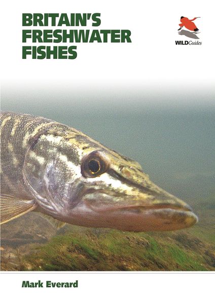 Produktbild: Britain's Freshwater Fishes