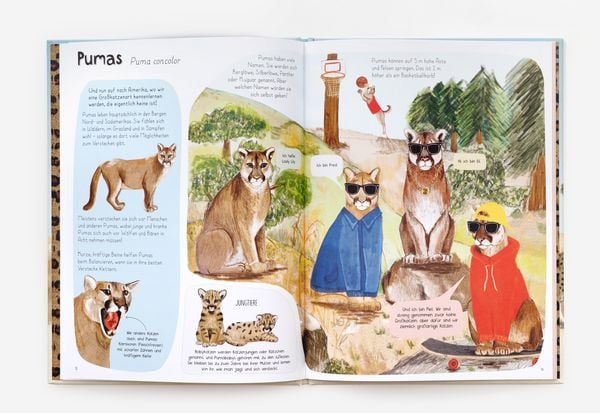 Produktbild: Das Katzen-Buch