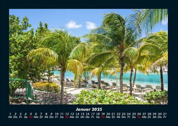 Produktbild: Palmen 2025 Fotokalender DIN A4