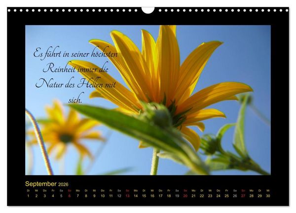 Produktbild: Goethes Gelb Gedanken zur Farbe (Wandkalender 2026 DIN A3 quer), CALVENDO Monatskalender