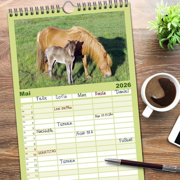 Produktbild: Familienplaner 2026 - Die Pferde Islands mit 5 Spalten (Wandkalender, 21 x 45 cm) CALVENDO
