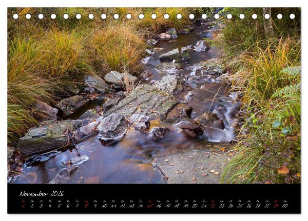 Produktbild: Hochmoor Hohes Venn (Tischkalender 2026 DIN A5 quer), CALVENDO Monatskalender